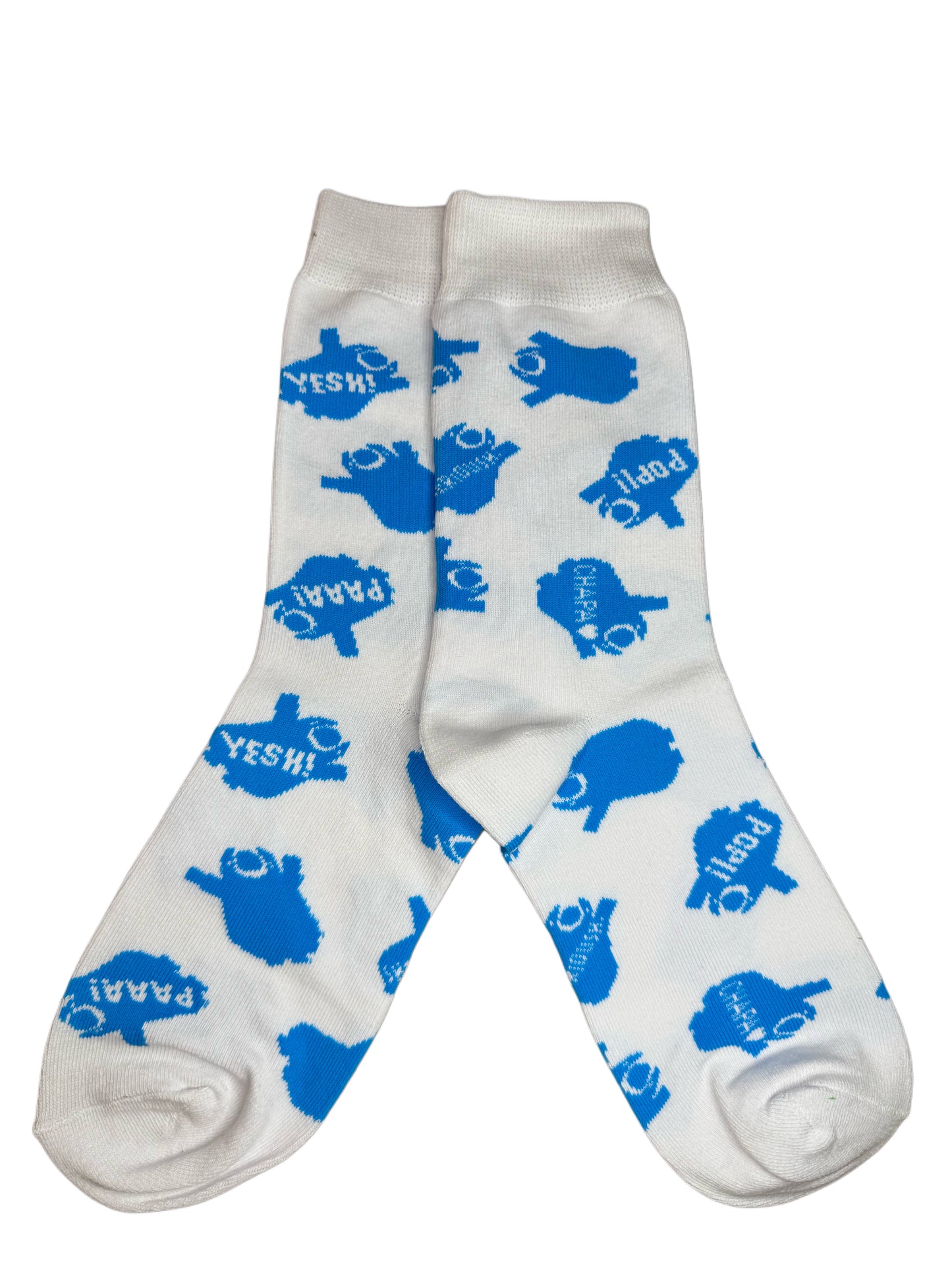 Chapa x MACH Socks Blue