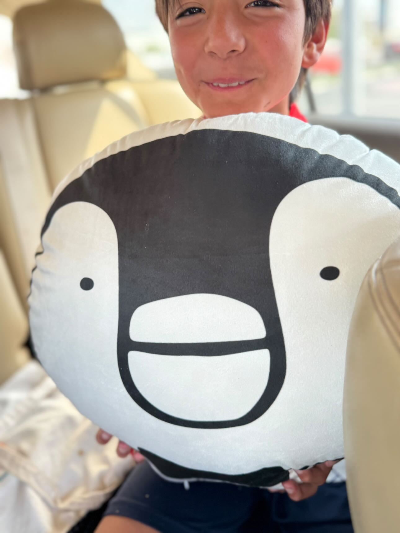 Jumbo pillow -Chapa Papa