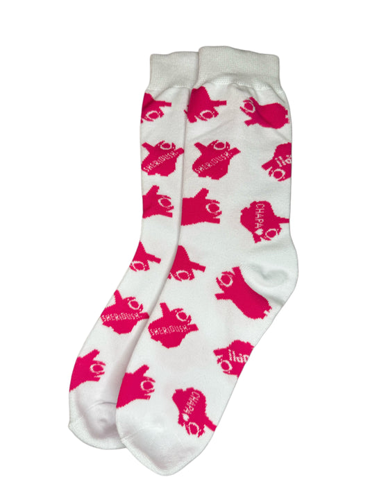 Chapa x MACH Socks Pink