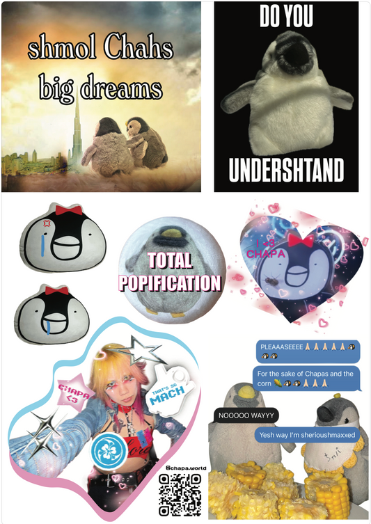 BIG Chapa meme shticker pack